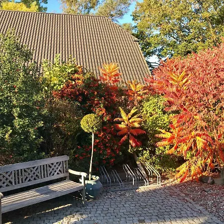 Netzboden By Strandgut Apartment
