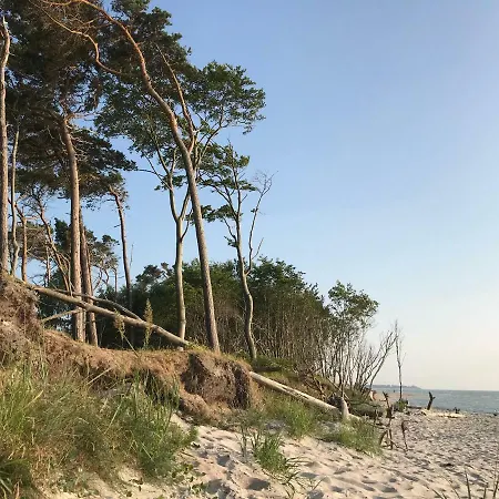 Netzboden By Strandgut Apartment Born